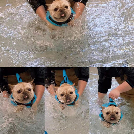 Honden Zwemvest | Reflecterend & Verstelbaar | Handige Reddingsgreep | Robuust & Waterdicht | Diverse Kleuren & Maten | Zichtbare Veiligheid voor Honden in Water