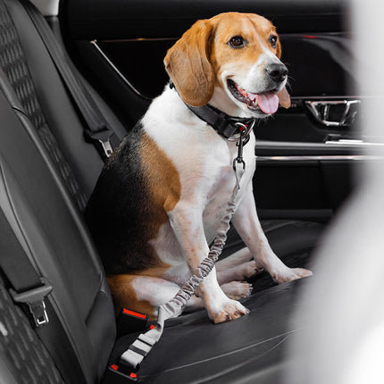 CoolPaw Buffer | Verstelbare Reflecterende Hondenriem voor Auto | Veilig & Comfortabel | Elastisch & Duurzaam | Past op Alle Harnassen