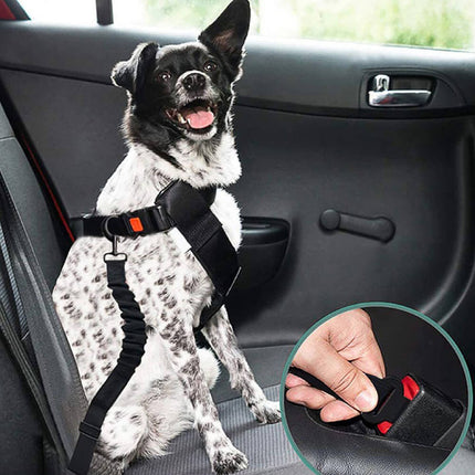 CoolPaw Buffer | Verstelbare Reflecterende Hondenriem voor Auto | Veilig & Comfortabel | Elastisch & Duurzaam | Past op Alle Harnassen