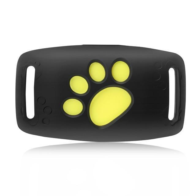 Cat GPS Tracker – Echtzeit-Ortung ohne Abo