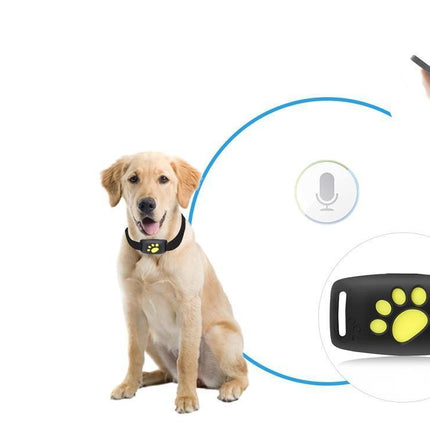 Cat GPS Tracker – Echtzeit-Ortung ohne Abo
