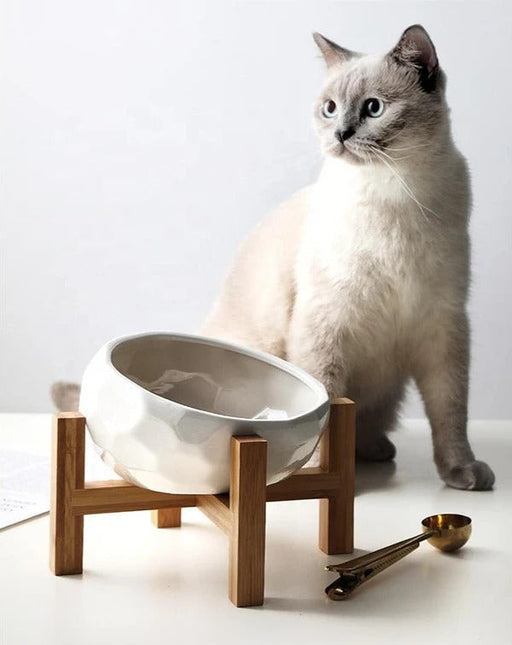 KeraBite keramische voerbak voor hond of kat | Hygiënisch en knoeivrij | Gemakkelijk schoon te maken | Modern en stijlvol design