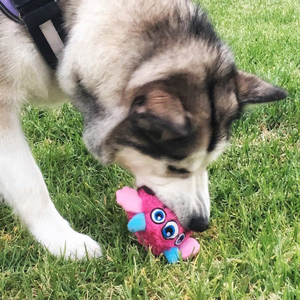 Interactief Speeltje voor Honden | Monsterontwerp Met Stekelige Bal | Stimuleert Zintuigen en Bevordert Tandgezondheid | Duurzaam en Kleurrijk | 10x10 cm | Diverse Kleuren