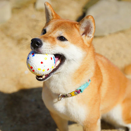 rijke honden speelbal | Interactief hondenspeelgoed | Duurzaam ETPU materiaal | Bijtbestendig | Voor apporteren en kauwen | Geschikt voor alle hondenrassen | Geschikt voor binnen en buiten