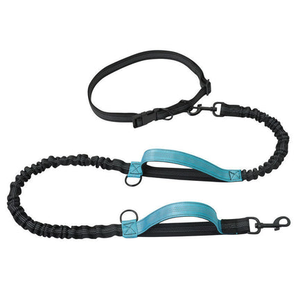 Dubbele Hondenriem Met Elastisch Koord | Reflecterende Stiksels | Voor Wandelen en Joggen