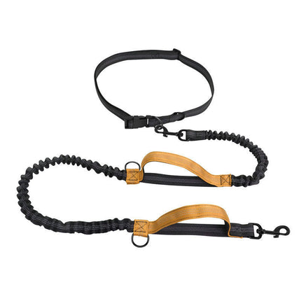 Dubbele Hondenriem Met Elastisch Koord | Reflecterende Stiksels | Voor Wandelen en Joggen