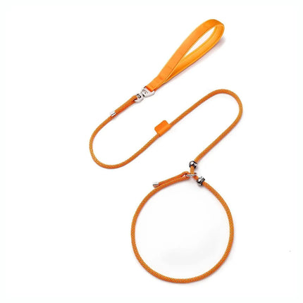 No-Pull Dog Leash | Durable Slip Collar with Padded Handle