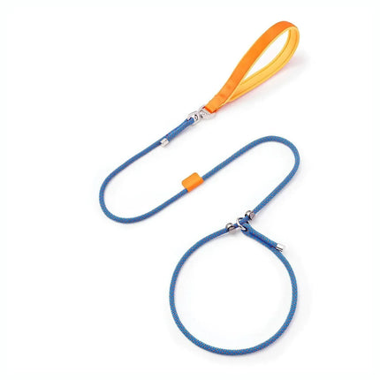 No-Pull Dog Leash | Durable Slip Collar with Padded Handle