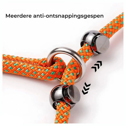 No-Pull Dog Leash | Durable Slip Collar with Padded Handle
