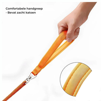 No-Pull Dog Leash | Durable Slip Collar with Padded Handle