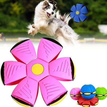 Milo | Opvouwbare Drijvende Bal en Frisbee voor Honden | Interactief Speelgoed