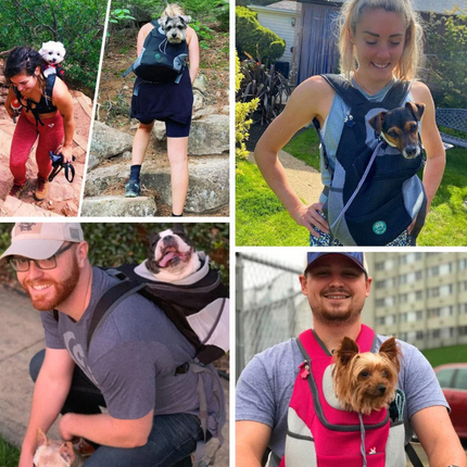 Hondenrugzak voor kleine honden tot 10 kg | Comfortabel, ademend en verstelbaar | Veilige draagtas voor wandelen en reizen | Duurzaam en waterbestendig materiaal