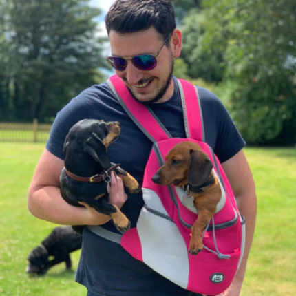 Hondenrugzak voor kleine honden tot 10 kg | Comfortabel, ademend en verstelbaar | Veilige draagtas voor wandelen en reizen | Duurzaam en waterbestendig materiaal