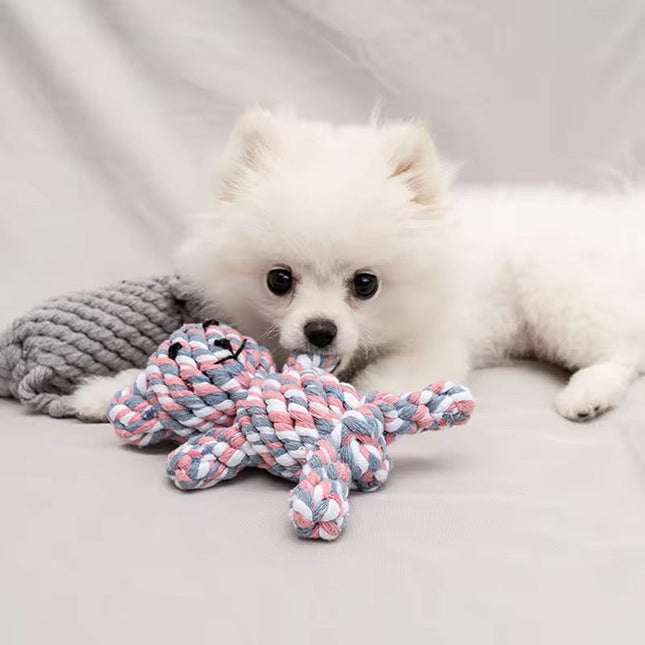 Duurzaam Speelgoed voor Honden | Kauwbestendige Knuffel | Versterkte Stiksels | Geschikt voor Puppy’s en Kleine Honden | Kleurrijke Dierenontwerpen