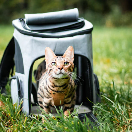 Jip | Draagbare Ruimterugzak voor Katten | Comfortabel en Veilig | Met Ventilatie en Kijkvenster