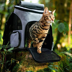 Collection image for: Katten Slapen