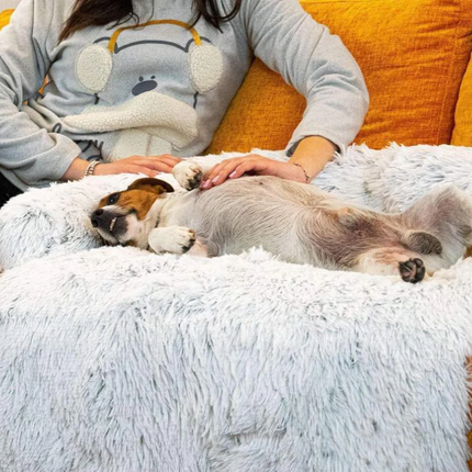Hondenplaid waterdicht en hypoallergeen | Zachte luxe honden deken ter bescherming van bank en meubels | Wasbaar en comfortabel