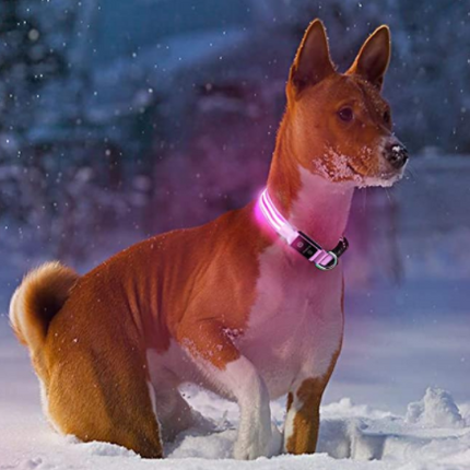 LED-halsband hond | Verhoogde zichtbaarheid in het donker | Meerdere en | Oplaadbaar | Duurzaam en waterbestendig | Geschikt voor alle hondenmaten