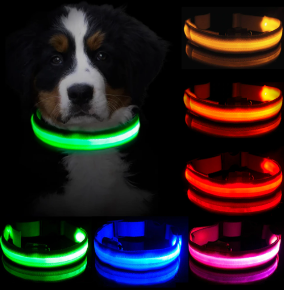 LED-halsband hond | Verhoogde zichtbaarheid in het donker | Meerdere en | Oplaadbaar | Duurzaam en waterbestendig | Geschikt voor alle hondenmaten