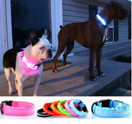 LED-halsband hond | Verhoogde zichtbaarheid in het donker | Meerdere en | Oplaadbaar | Duurzaam en waterbestendig | Geschikt voor alle hondenmaten