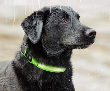 LED-halsband hond | Verhoogde zichtbaarheid in het donker | Meerdere en | Oplaadbaar | Duurzaam en waterbestendig | Geschikt voor alle hondenmaten