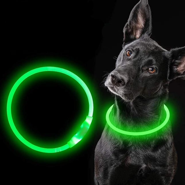 LED Dog Collar | Rechargeable with USB | 360° Illumination | Safe Walking in the Dark | TPU Materials | Multiple Light Modes | Adjustable Size | Reflective for Optimal Visibility