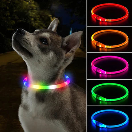 LED Dog Collar | Rechargeable with USB | 360° Illumination | Safe Walking in the Dark | TPU Materials | Multiple Light Modes | Adjustable Size | Reflective for Optimal Visibility