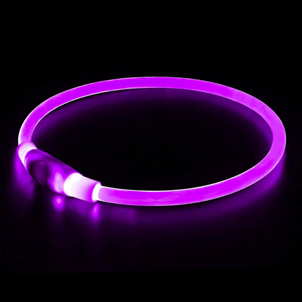 LED Dog Collar | Rechargeable with USB | 360° Illumination | Safe Walking in the Dark | TPU Materials | Multiple Light Modes | Adjustable Size | Reflective for Optimal Visibility