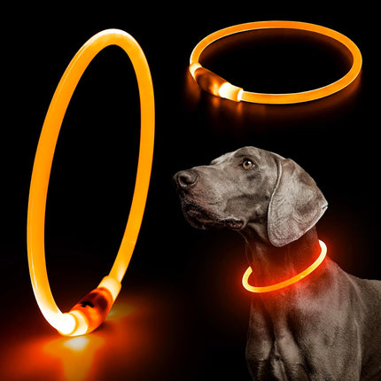 LED Dog Collar | Rechargeable with USB | 360° Illumination | Safe Walking in the Dark | TPU Materials | Multiple Light Modes | Adjustable Size | Reflective for Optimal Visibility
