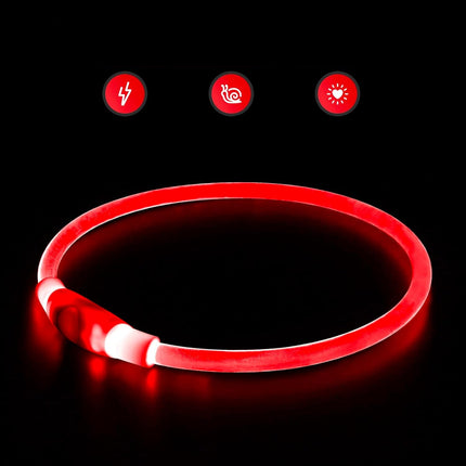 LED Dog Collar | Rechargeable with USB | 360° Illumination | Safe Walking in the Dark | TPU Materials | Multiple Light Modes | Adjustable Size | Reflective for Optimal Visibility