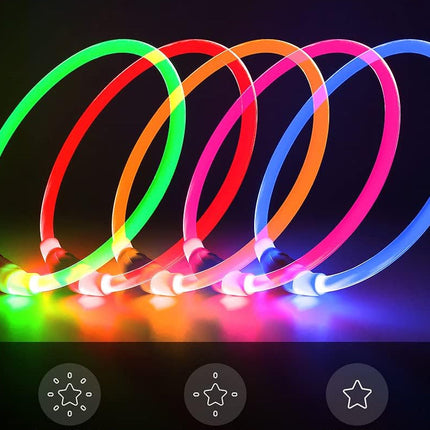 LED Dog Collar | Rechargeable with USB | 360° Illumination | Safe Walking in the Dark | TPU Materials | Multiple Light Modes | Adjustable Size | Reflective for Optimal Visibility