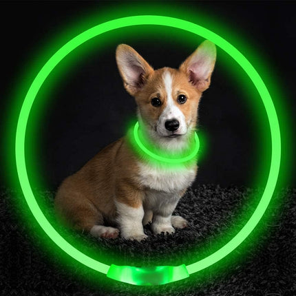 LED Dog Collar | Rechargeable with USB | 360° Illumination | Safe Walking in the Dark | TPU Materials | Multiple Light Modes | Adjustable Size | Reflective for Optimal Visibility