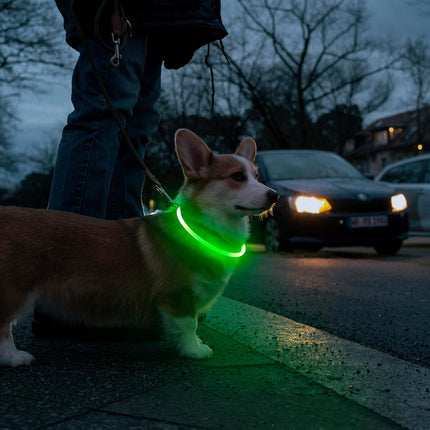 LED Dog Collar | Rechargeable with USB | 360° Illumination | Safe Walking in the Dark | TPU Materials | Multiple Light Modes | Adjustable Size | Reflective for Optimal Visibility