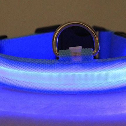LED-halsband hond | Verhoogde zichtbaarheid in het donker | Meerdere en | Oplaadbaar | Duurzaam en waterbestendig | Geschikt voor alle hondenmaten