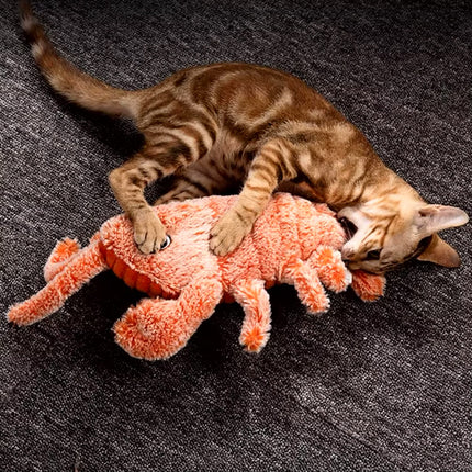 Interactief Speelgoed Kreeft | Mentale Stimulatie voor Honden | Onvoorspelbare Bewegingspatronen | Angstreductie en Lichamelijke Activiteit | Houdt Honden Urenlang Vermaakt | Voorkomt Destructief Kauwen | Piepend Plezier voor Actieve Honden