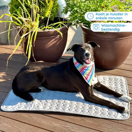 MrFluffyFriend | Premium Cooling Mat for Dogs | Cooling Soft Mat | Portable & Breathable | Safe & Waterproof | Machine Washable