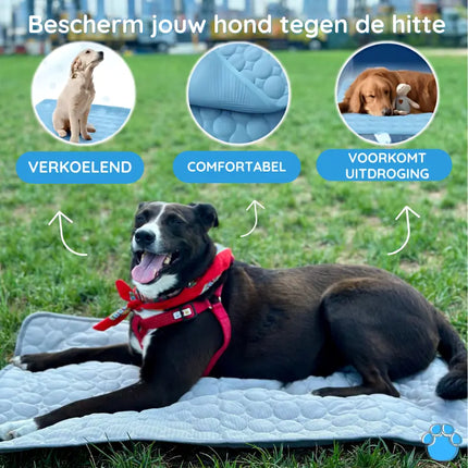 MrFluffyFriend | Premium Cooling Mat for Dogs | Cooling Soft Mat | Portable & Breathable | Safe & Waterproof | Machine Washable
