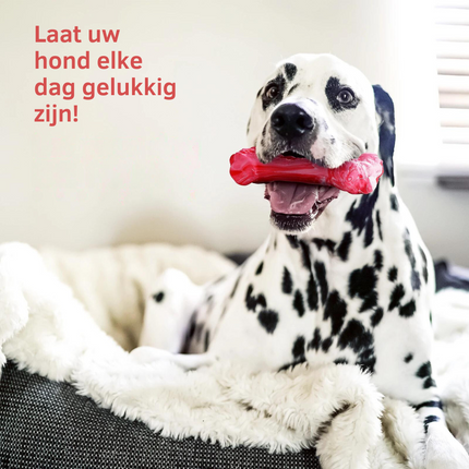 Maxie | Speelse Hondentandenborstel met Pieper | Veilig & Milieuvriendelijk | Tandverzorging en Kauwplezier voor M/L Honden