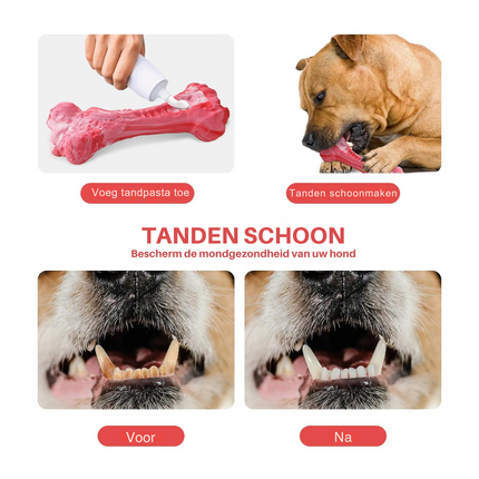 Maxie | Speelse Hondentandenborstel met Pieper | Veilig & Milieuvriendelijk | Tandverzorging en Kauwplezier voor M/L Honden
