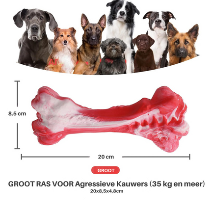 Maxie | Speelse Hondentandenborstel met Pieper | Veilig & Milieuvriendelijk | Tandverzorging en Kauwplezier voor M/L Honden