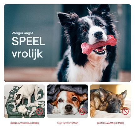 Maxie | Speelse Hondentandenborstel met Pieper | Veilig & Milieuvriendelijk | Tandverzorging en Kauwplezier voor M/L Honden