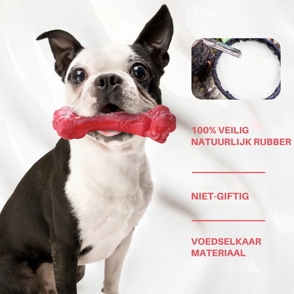 Maxie | Speelse Hondentandenborstel met Pieper | Veilig & Milieuvriendelijk | Tandverzorging en Kauwplezier voor M/L Honden