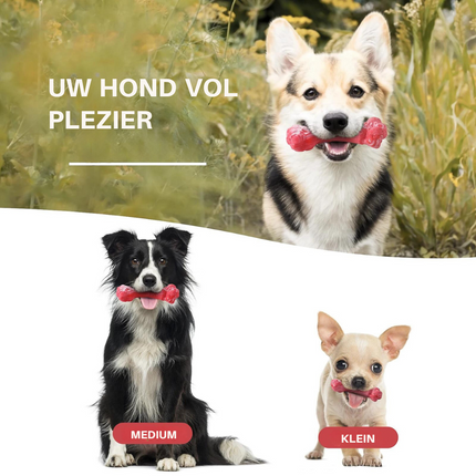 Maxie | Speelse Hondentandenborstel met Pieper | Veilig & Milieuvriendelijk | Tandverzorging en Kauwplezier voor M/L Honden