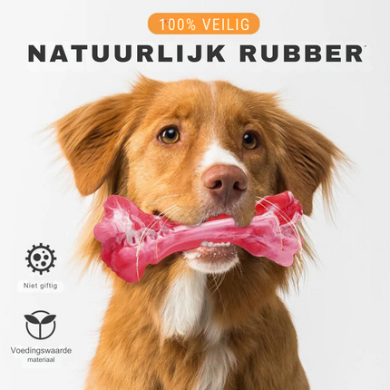 Maxie | Speelse Hondentandenborstel met Pieper | Veilig & Milieuvriendelijk | Tandverzorging en Kauwplezier voor M/L Honden