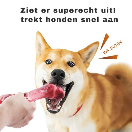 Maxie | Speelse Hondentandenborstel met Pieper | Veilig & Milieuvriendelijk | Tandverzorging en Kauwplezier voor M/L Honden