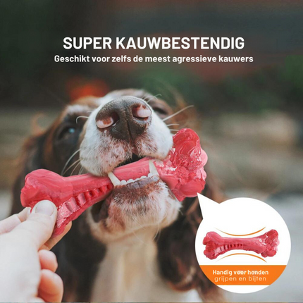 Maxie | Speelse Hondentandenborstel met Pieper | Veilig & Milieuvriendelijk | Tandverzorging en Kauwplezier voor M/L Honden