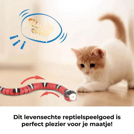 Interactief Bewegingsspeeltje voor Katten | Snake Speelgoed met Levensechte Bewegingen en Sensoren | Duurzaam en Veiligh
