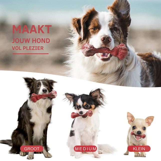 Maxie | Speelse Hondentandenborstel met Pieper | Veilig & Milieuvriendelijk | Tandverzorging en Kauwplezier voor M/L Honden