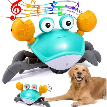 Interactieve Bewegingsgevoelige Krab Voor Actieve Honden | Geluidseffecten | Duurzaam Speelgoed Met USB-oplaadbare Batterij