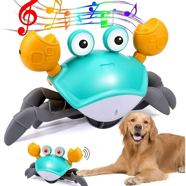 Interactieve Bewegingsgevoelige Krab Voor Actieve Honden | Geluidseffecten | Duurzaam Speelgoed Met USB-oplaadbare Batterij